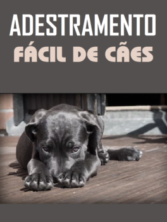 Treinamento Para Cães